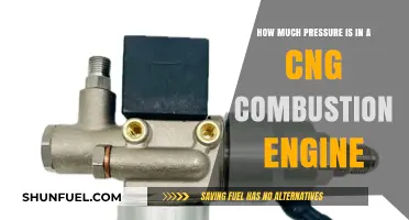 Exploring the Combustion Pressures in CNG Engines: A Detailed Analysis