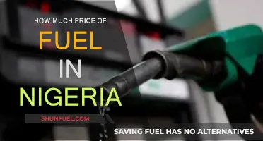Fuel Prices in Nigeria: A Costly Affair