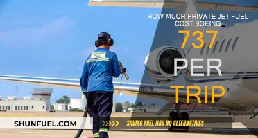 The High Cost of Private Jet Fuel for Boeing 737 Trips