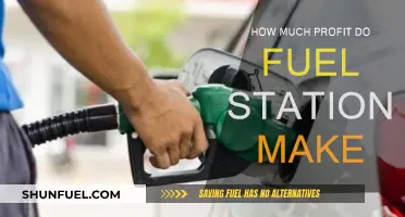 Fuel Stations: Profiting or Just Surviving?
