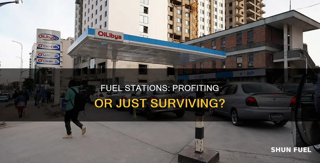 how much profit do fuel stations make