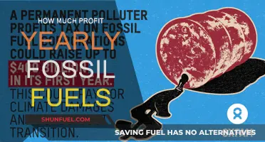 Lucrative Fossil Fuels: Yearly Profits Explored