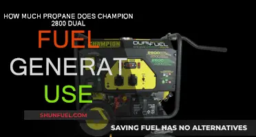 Champion 2800: Propane Usage and Efficiency