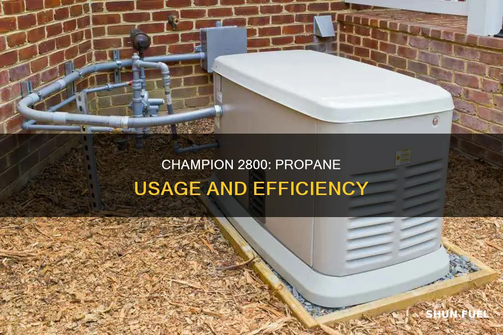 how much propane does champion 2800 dual fuel generator use