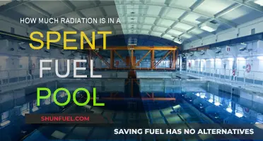 Spent Fuel Pool: Radiation Levels and Safety