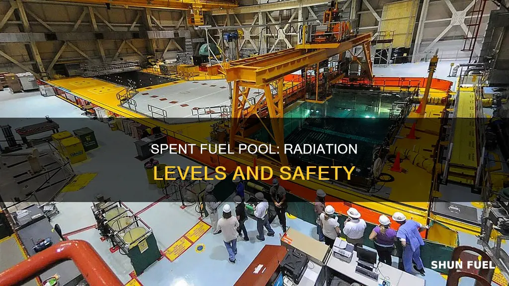 how much radiation is in a spent fuel pool