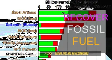 The World's Recoverable Fossil Fuel Reserves: How Much is Left?