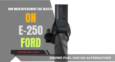 Replacement Cost of Fuel Injectors for the E-250 Ford