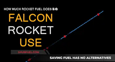 Falcon Rocket Fuel Consumption: How Much is Enough?