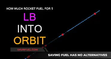 The Fuel Equation: Orbiting 1 Pound of Payload
