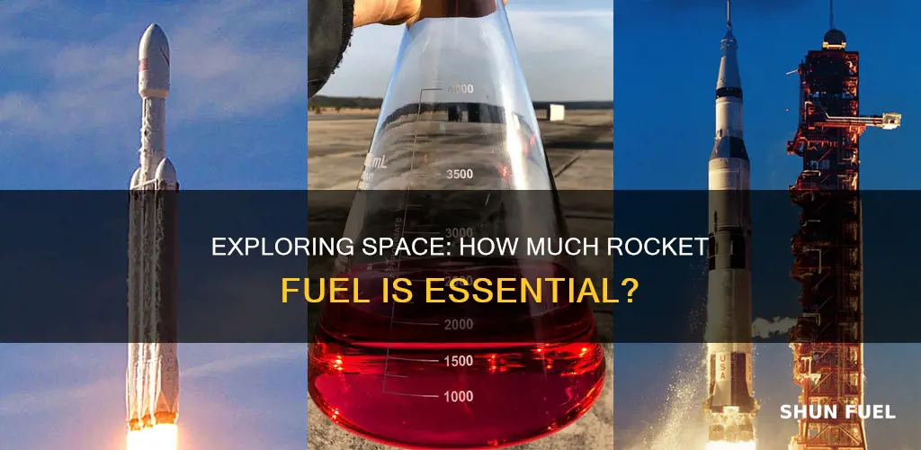 how much rocket fuel is needed to get to space