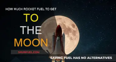 Exploring the Moon: Fuel Requirements for Lunar Missions