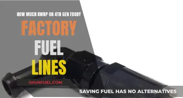Fuel Line Limits: 4th Gen F-Body RWHW Potential