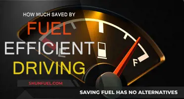 Smart Driving: Save Money, Fuel Efficiency