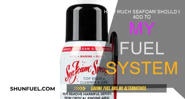 Adding Seafoam to Fuel: How Much is Too Much?