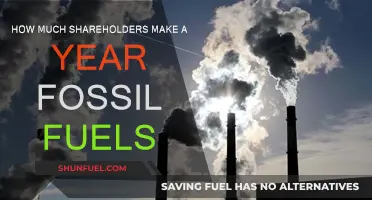 Fossil Fuel Profiteering: Shareholder Earnings Examined