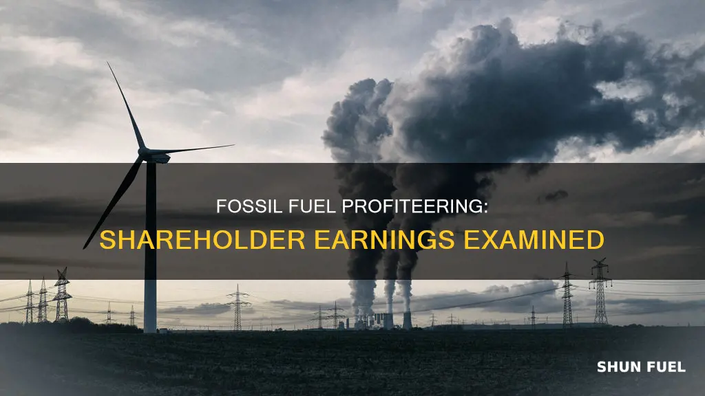 how much shareholders make a year fossil fuels