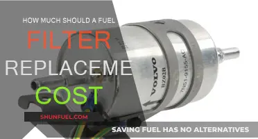 Fuel Filter Replacement: Cost and When to Change It