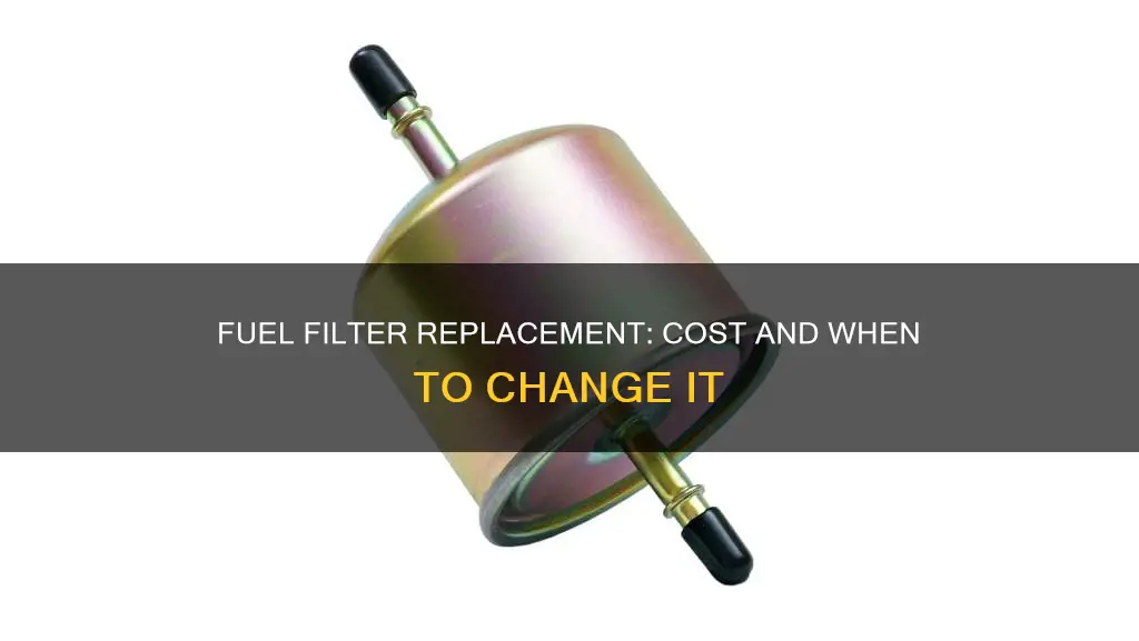 how much should a fuel filter replacement cost