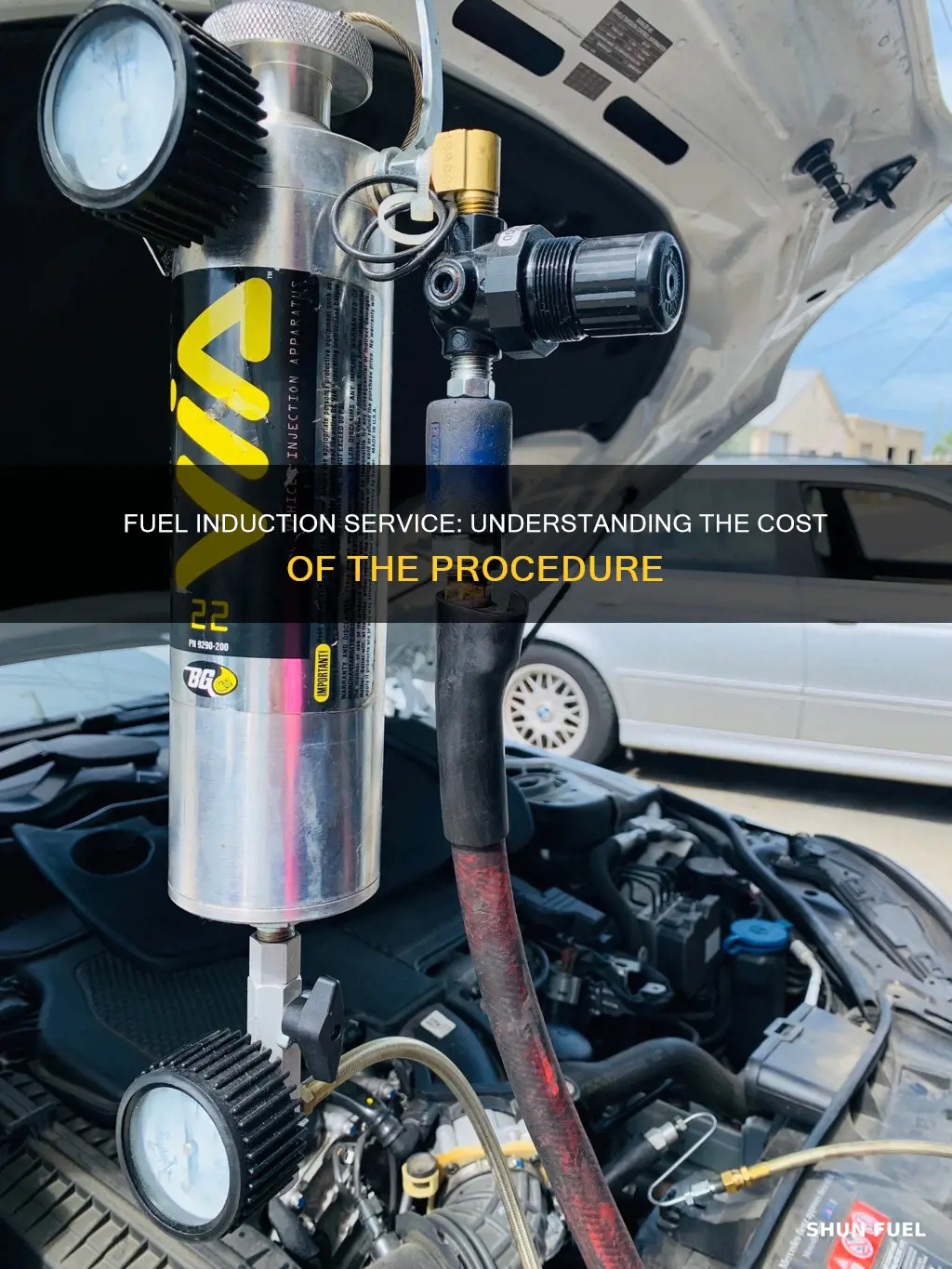 how much should a fuel induction service cost