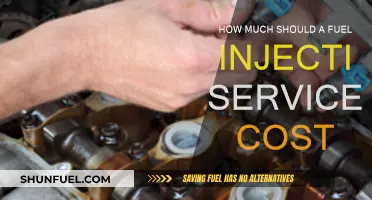 Fuel Injection Service: What's the Cost?