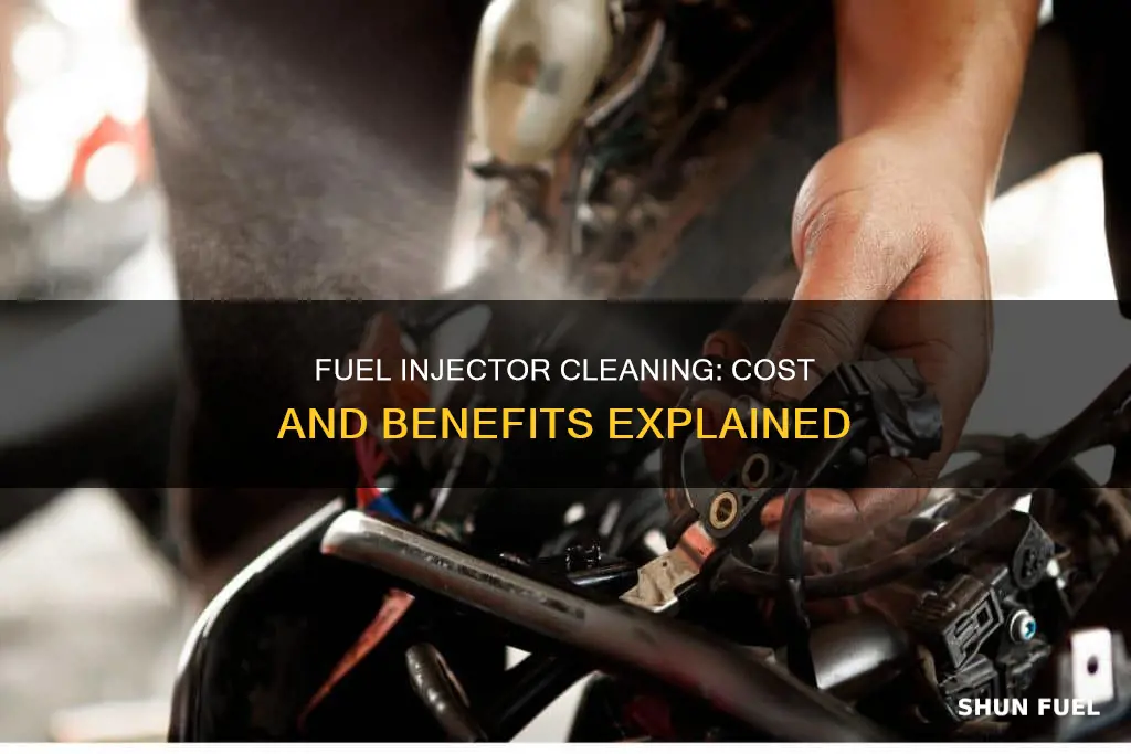 how much should a fuel injector cleaning cost