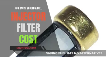 Fuel Injector Filter Costs: How Much to Budget?