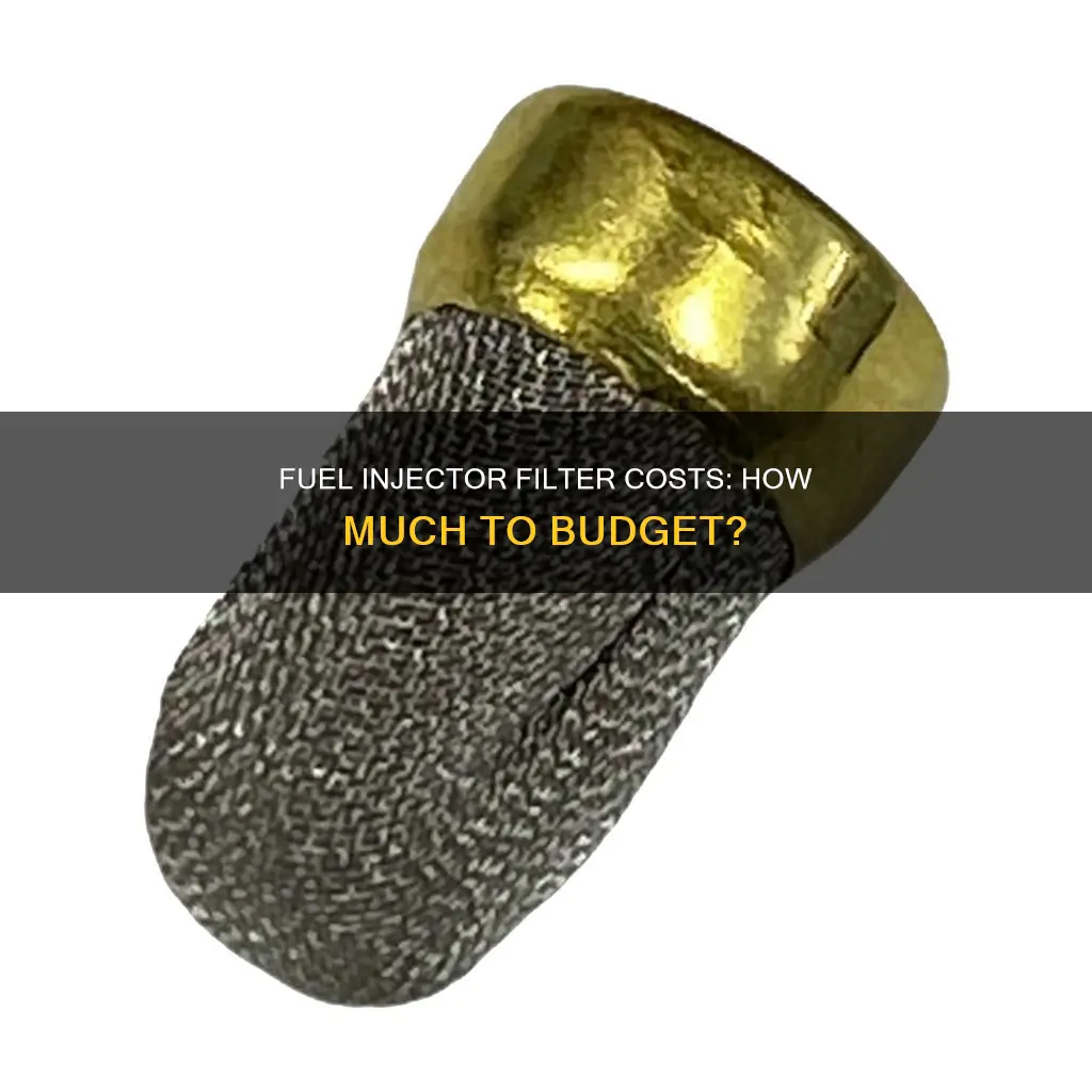 how much should a fuel injector filter cost