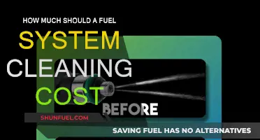 Fuel System Cleaning: Cost and Benefits