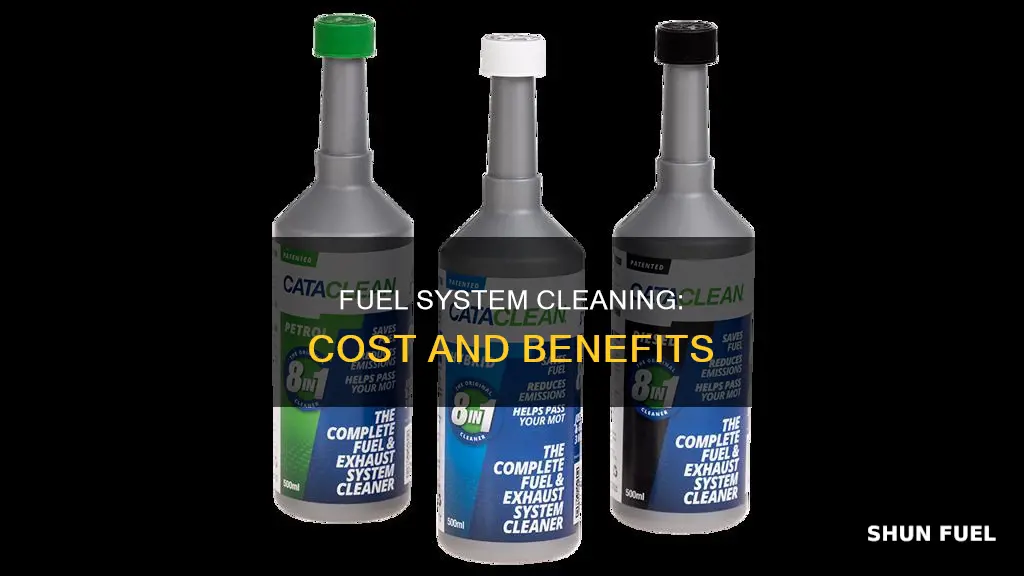how much should a fuel system cleaning cost
