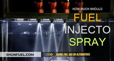 Fuel Injector Spray: Optimizing the Mist for Performance
