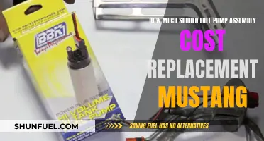 Fuel Pump Assembly Replacement: Mustang Costs Explained