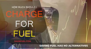 Fuel Costs: How Much to Charge and Why