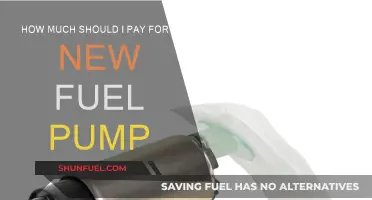 Fuel Pump Replacement: Cost and When to Change It