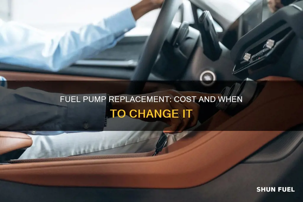 how much should i pay for a new fuel pump