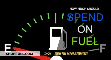 Smart Fuel Spending: How Much is Too Much?