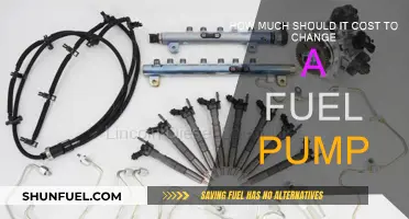 Fuel Pump Replacement: Understanding the Cost