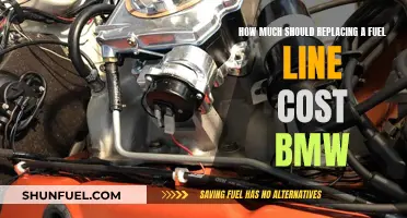 BMW Fuel Line Replacement: Cost and Expectations