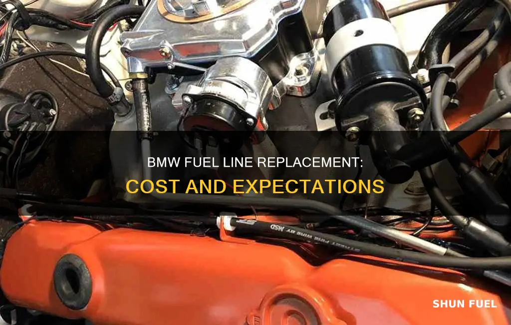 how much should replacing a fuel line cost bmw