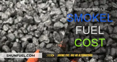 The True Cost of Smokeless Fuel
