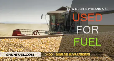 Soybean Fuel: How Much Is Too Much?