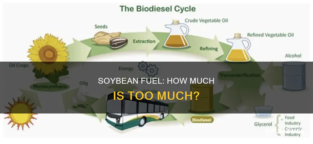 how much soybeans are used for fuel