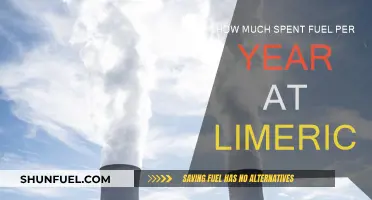 Limerick's Annual Spent Fuel: A Costly Affair