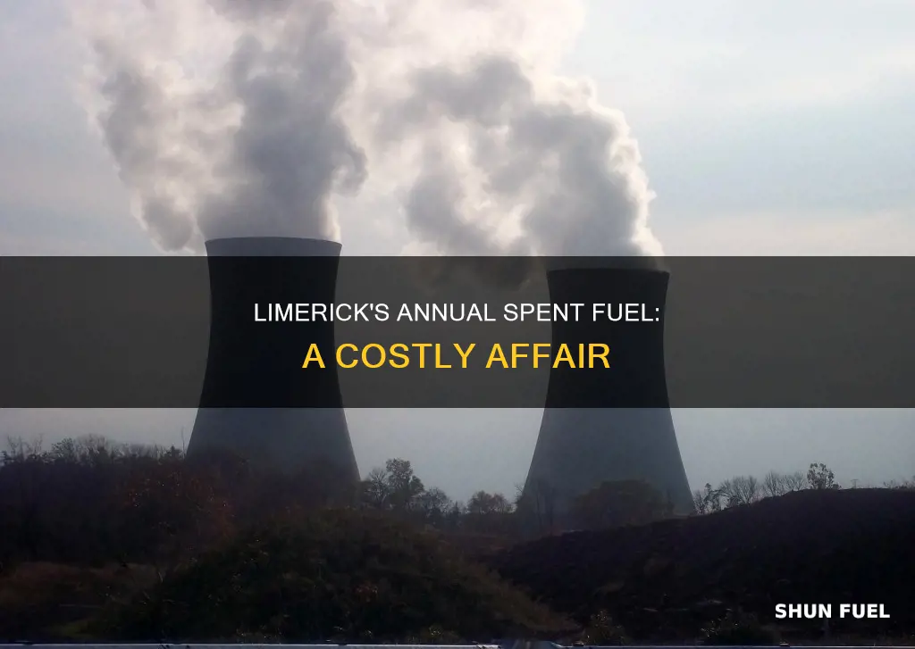 how much spent fuel per year at limerick