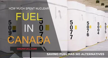 Canada's Spent Nuclear Fuel: A Growing Concern