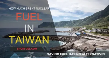 Taiwan's Nuclear Waste: A Costly Legacy