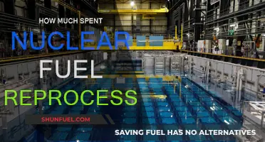 The High Cost of Nuclear Fuel Reprocessing