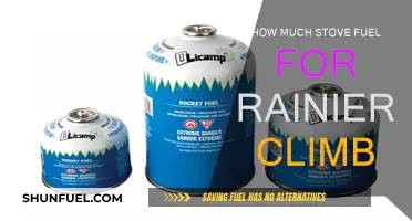 Stove Fuel for Rainier Climb: How Much is Enough?