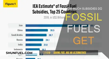 The True Cost of Fossil Fuel Subsidies