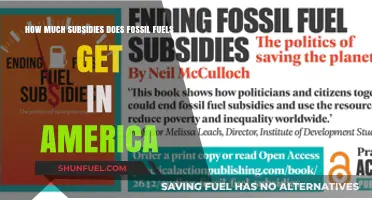 Unveiling America's Fossil Fuel Subsidies: A Deep Dive into Annual Support